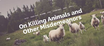 Inspiration for Article Intro Effects