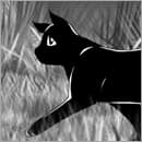 Flashless Animation