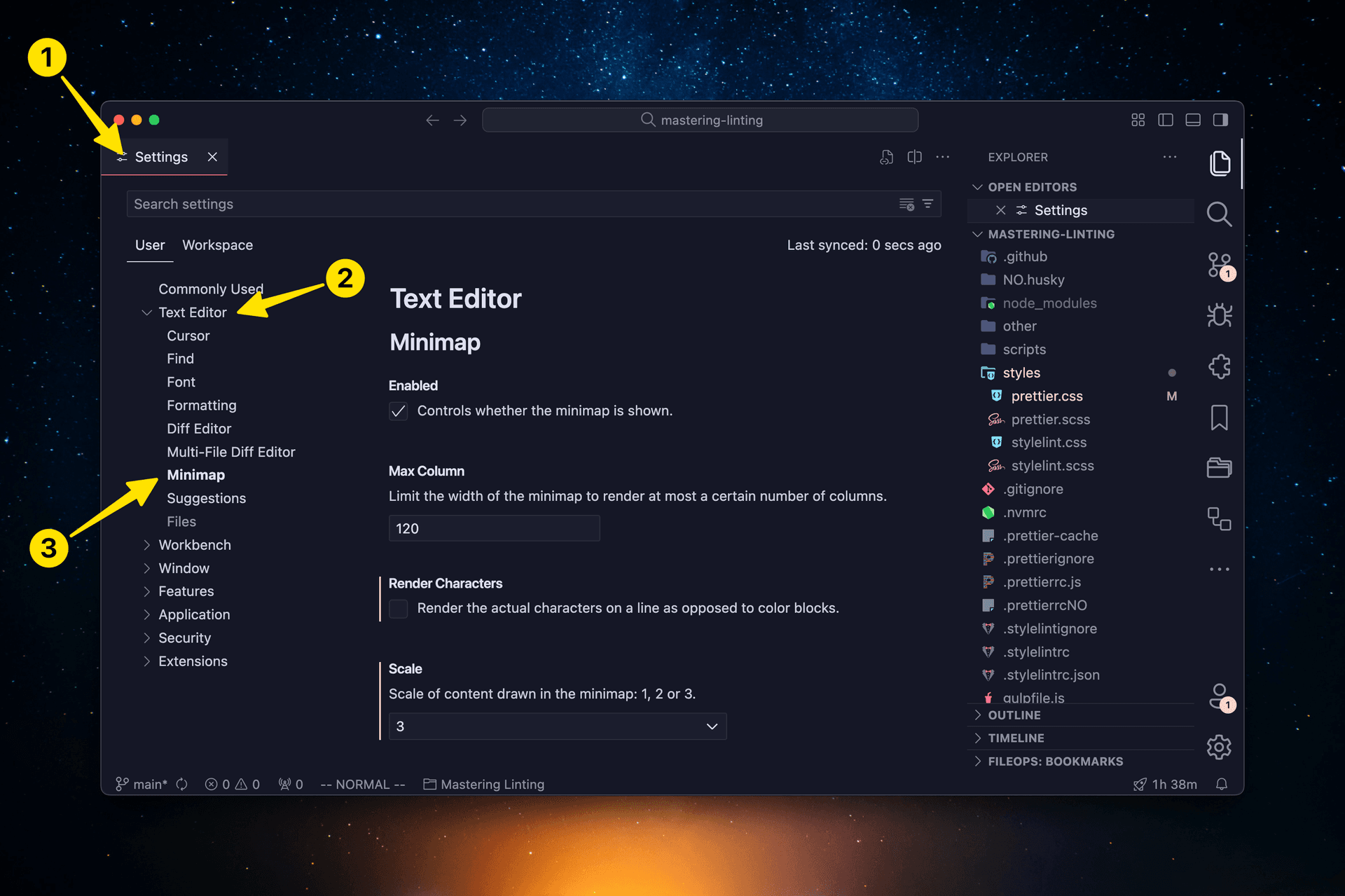VS Code screenshot showing the minimap options under Text Editor -> Minimap.