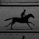 Giving Animations Life