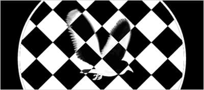 Gif animation + CSS animation + Blend modes