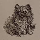 Designing For Print With CSS