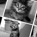 Using CSS3's nth-child Selector to Invent New Ones