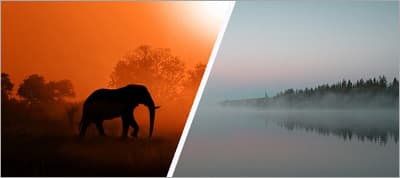 Creating an angled split feature area with CSS transforms