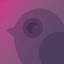 Discover the Power of SVG