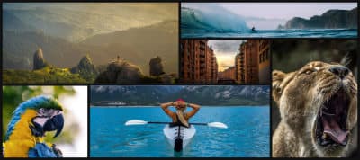 Getting to Know CSS Grid Layout