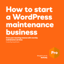 Free eBook: How to start a WordPress maintenance business