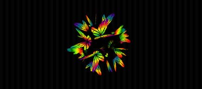 Butterflies Drink Dark Matter