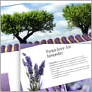 How to recreate the new eBay site scrolling effect