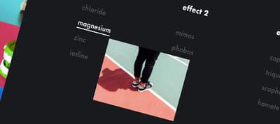 Image Reveal Hover Effects