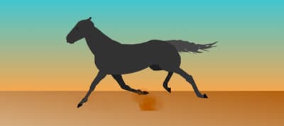 Clip Clop Clippity Clop