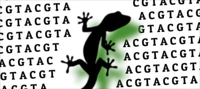 Creating CSS Shapes with Emoji