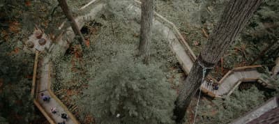 Associative Trails