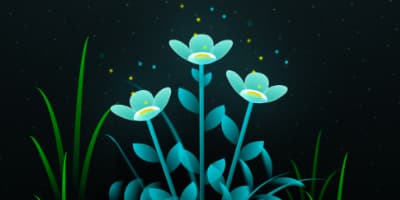 CSS Blossoming Flowers at Magical Night