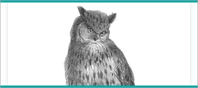 JavaScript Enlightenment