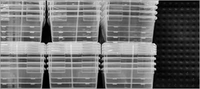 Thoughts For Better Variable Organization In SASS