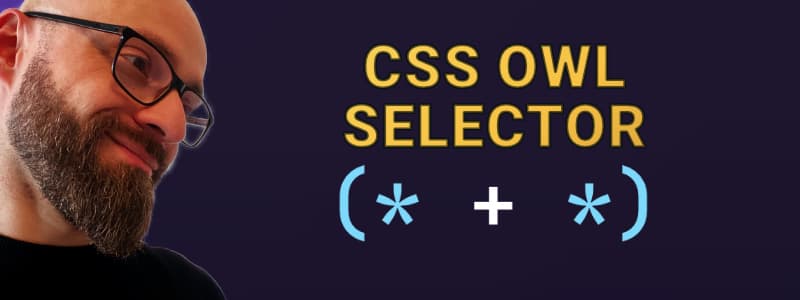<small>▶</small> What is CSS Owl Selector (* + *)?