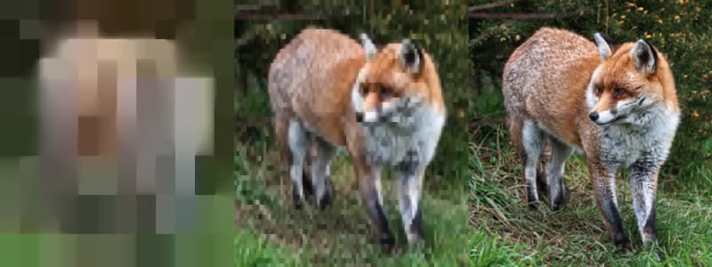 The Present and Potential Future of Progressive Image Rendering