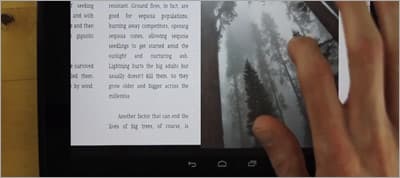 Next Generation Web Layout: National Geographic Forest Giant