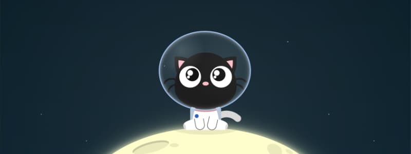 CSS Art: Cat Looking at the Stars