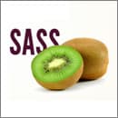 Digging into my slides about Sass