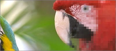 Image Compression for Web Developers