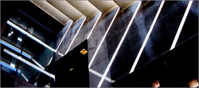 A Lesson on Rendering Trees, Emerging Technologies and Tacos