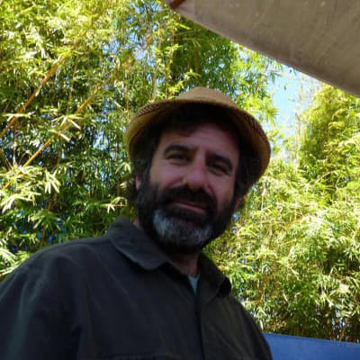 David Kaye
