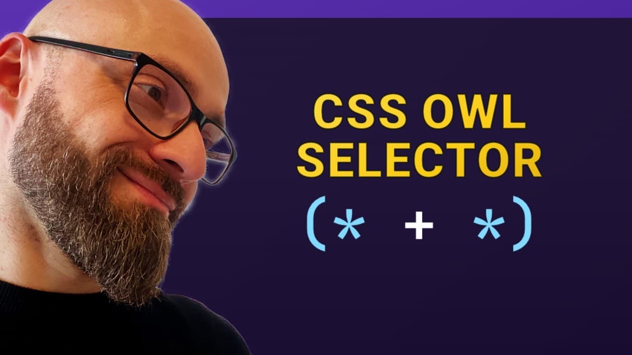 What is CSS Owl Selector (* + *)?