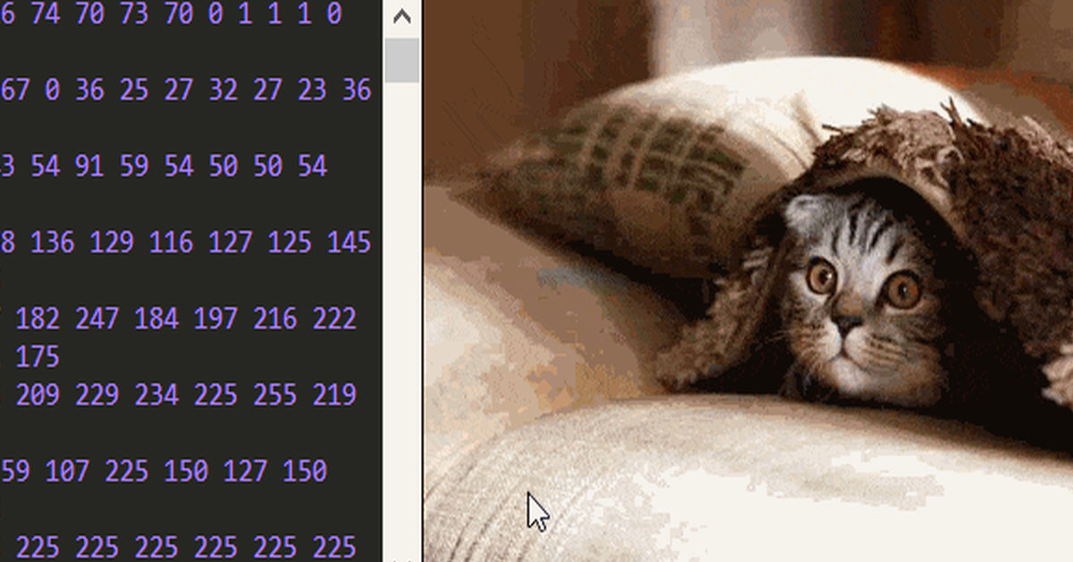 Issue #367 - CSS Weekly