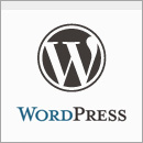 WordPress Theme CSS Starter