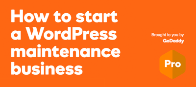 Free eBook: How to start a WordPress maintenance business