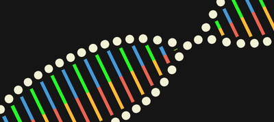 CSS DNA 🧬