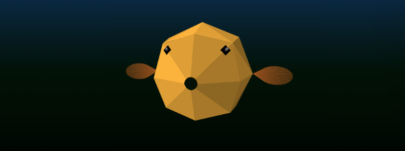 Boxfish / Pufferfish